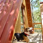 El Roble Glamping - Alpina - Pet Friendly Lagunilla