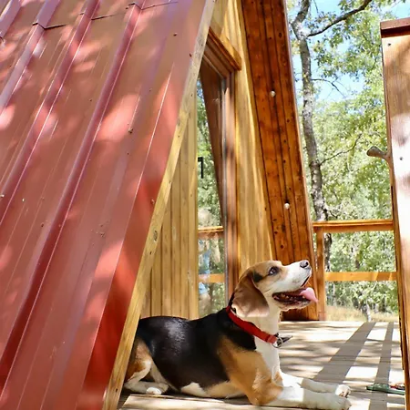 El Roble Glamping - Alpina - Pet Friendly Lagunilla