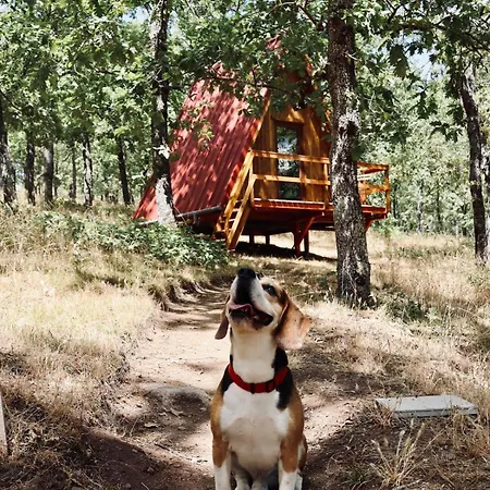 Campismo de Luxo El Roble Glamping - Alpina - Pet Friendly