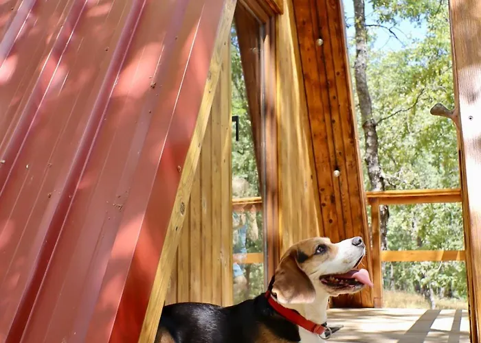 El Roble Glamping - Alpina - Pet Friendly Lagunilla