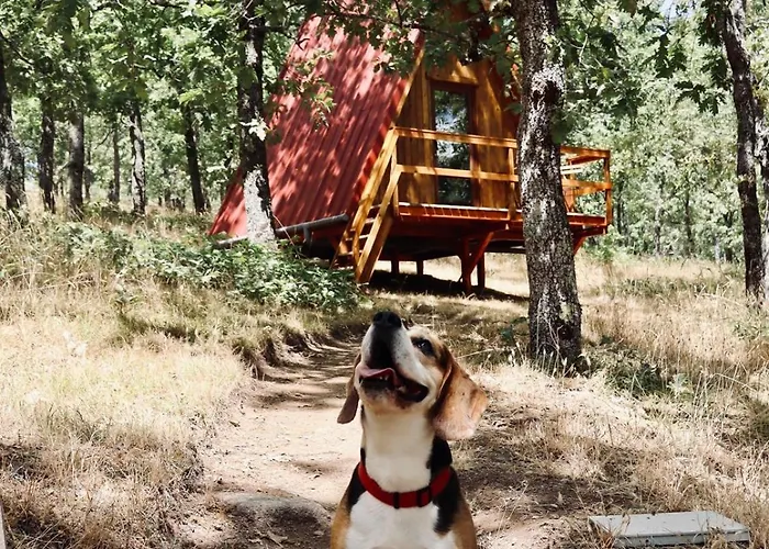 Campismo de Luxo El Roble Glamping - Alpina - Pet Friendly